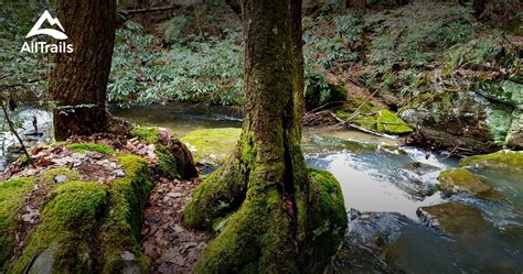 Best trails in Obed Wild and Scenic River, Tennessee | AllTrails