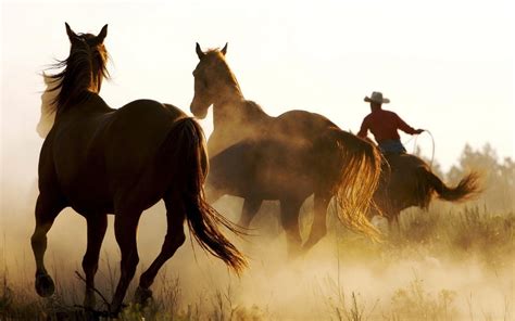 Cowboy Horse Wallpapers - Top Free Cowboy Horse Backgrounds ...