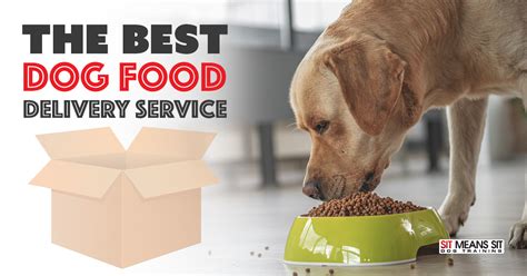 Choosing the Best Dog Food Delivery Service | Sit Means Sit - The ...