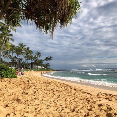 Kiahuna Beach (Kauai) - 2019 All You Need to Know Before You Go (with Photos) - Kauai, HI ...