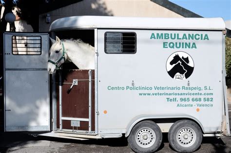 2.2. foto clinica equina - Veterinario San Vicente