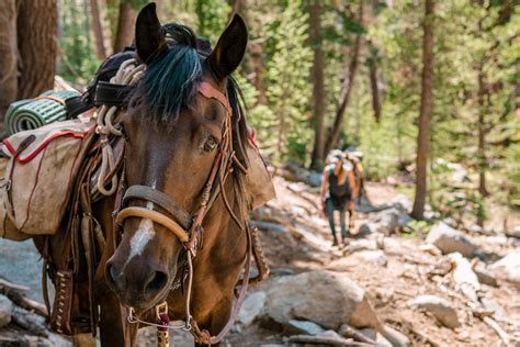 9 Top Places to Go Horseback Riding in California