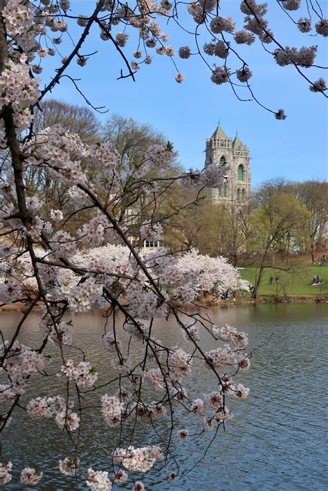 NJ - Newark: Branch Brook Park - Cathedral Basilica of Sac… | Flickr