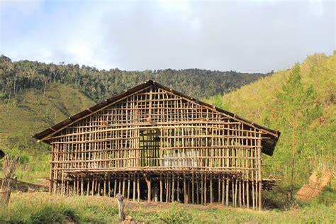 Rumah Kaki Seribu, Arfak Mountains, Papua Stock Image - Image of indonesia, high: 188095795