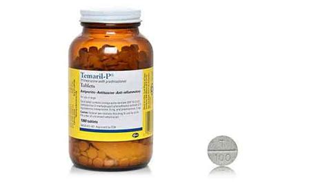 Temaril P (Trimeprazine/Prednisolone) - Kennel Cough in Dogs | PetCareRx