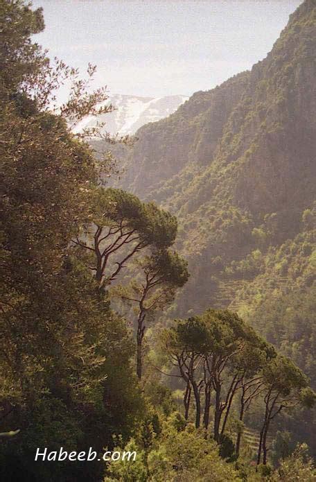 Lebanon Photos Mountains