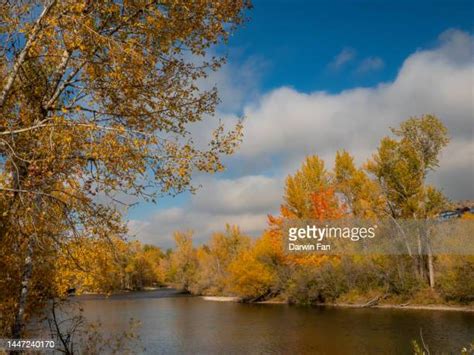 543 Boise River Greenbelt Stock Photos, High-Res Pictures, and Images - Getty Images