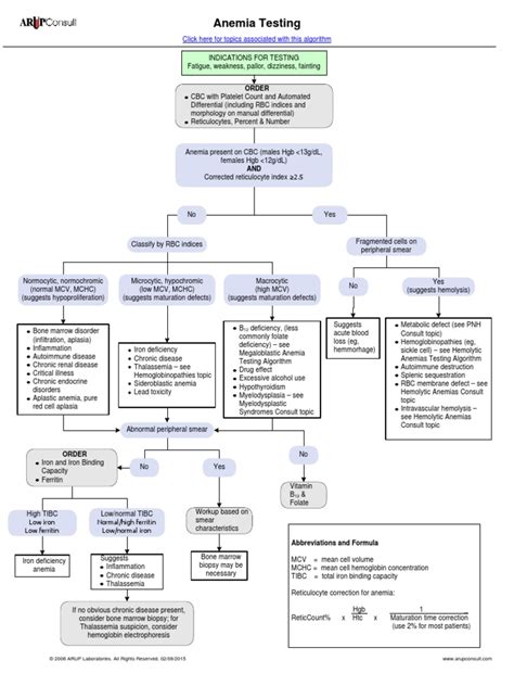 Anemia Testing algorithm.pdf | Anemia | Medical Specialties