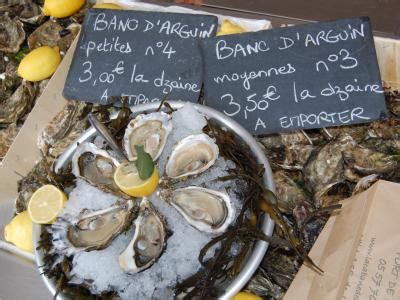 Arcachon Bay oysters - Gastronomy & Holidays guide