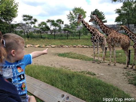 Tuesday Travels: Indianapolis Zoo - Sippy Cup Mom