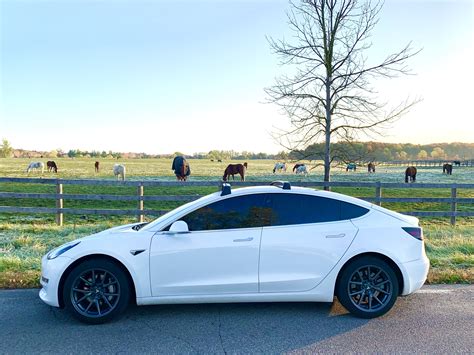 Side view of Tesla Model 3 | Tesla model, Giraffe decal, Tesla