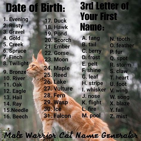 Male warrior cat name generator | Warrior cats name generator, Warrior ...