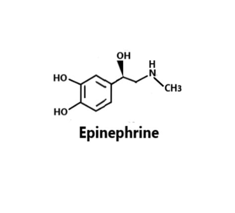 Synthesis of Epinephrine, structure – PHARMASIKSHA