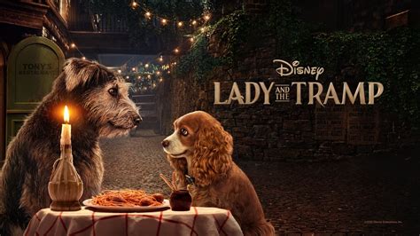 Lady and the Tramp Movie Review and Ratings by Kids