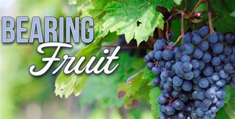 Bearing fruit - with patient perseverance - Pastor Charles Finny ...