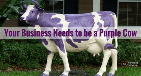 Your Business Needs to be a Purple Cow - ME Marketing Services ...