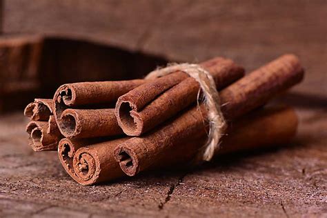 Cinnamon CHEFIN Australia