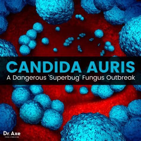 Candida auris: Deadly Fungus Infects U.S. Healthcare Facilities - Dr. Axe