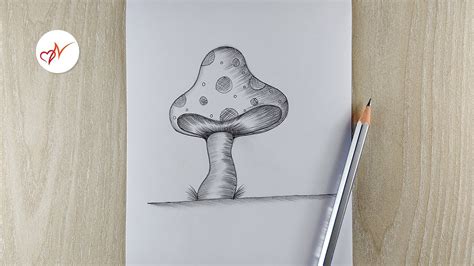 How to draw a realistic mushroom | Step by step pencil sketch drawing ...