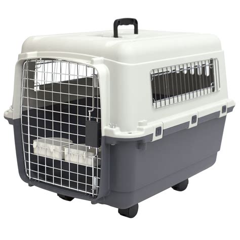 Kennels Direct Premium Plastic Dog Kennel and Travel Crate, Size Medium ...