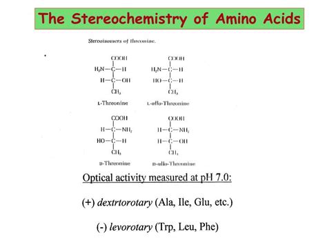 PPT - AMINO ACIDS PowerPoint Presentation - ID:1205136