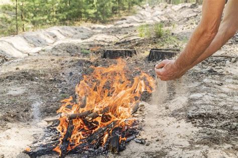 Can Sand Mulch Catch Fire? What You Should Know – The Garden Hows