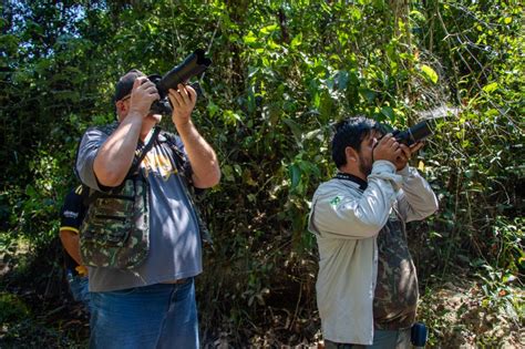 Parque do Pombo será palco de observação de aves no "Global Big Day em Três Lagoas