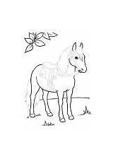 Coloring Pages How To draw a Coloring Book 29 Pcs  Download Or Print sketch template