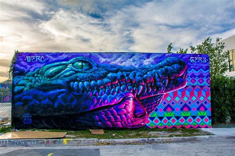 Crocodile Graffiti Photograph by Manuel Lopez