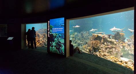 National Aquarium in Baltimore Exhibit Design | CambridgeSeven