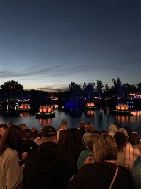 Animal Kingdom Rivers of Light Dining Package Review + Info