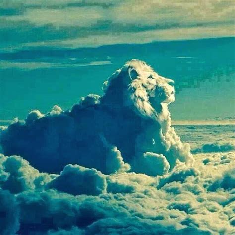 Rainier Lions Club: Lion in the Clouds...........