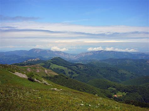 Free photo: greben mountain, landscape, serbia, mountain, nature, view, woods | Hippopx