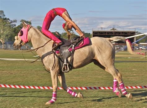 Horse trick riding pictures | the show is a fast paced adrenaline rush ...