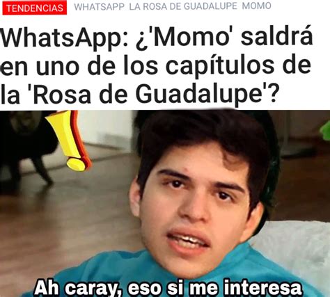 La Rosa De Guadalupe se renueva - Meme subido por martuxfinn :) Memedroid