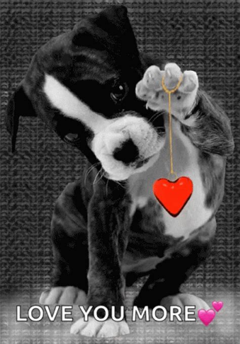 Puppy Love You More GIF | GIFDB.com