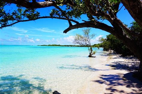 Playa Jardines Del Rey Cuba - Plajă