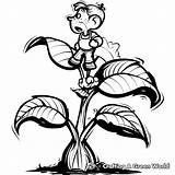 Jack And The Beanstalk Coloring Pages  Free & Printable sketch template