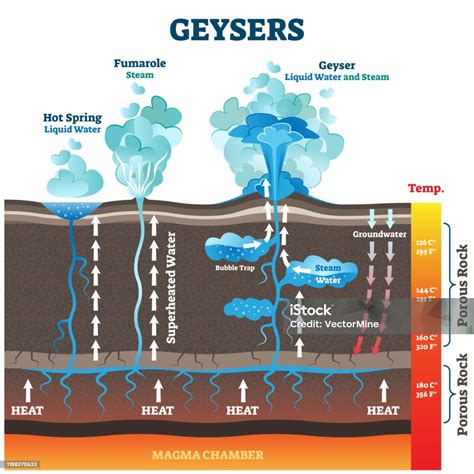 Geysers Vector Illustration Labeled Water And Air Steam From Earth Heat ...