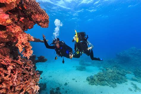 Conservation Destinations: Why Pick Bonaire & Curaçao for Scuba Diving