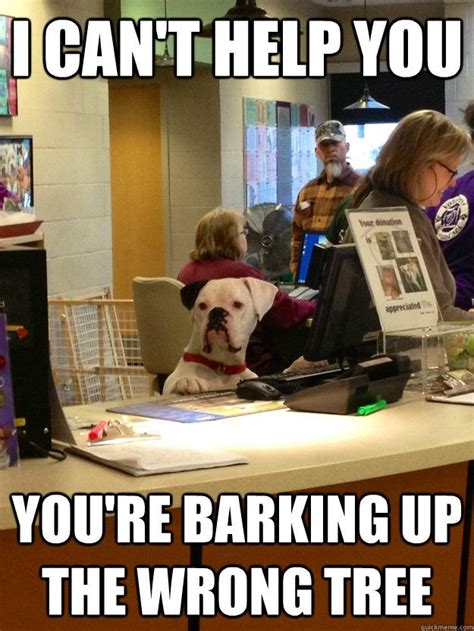 15 Seriously Funny National Receptionist Day Memes! | Seriously funny, Funny pictures, Funny