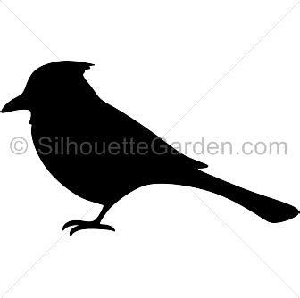 Blue Jay Silhouette - Free Clip Art, Printable, and Vector Downloads