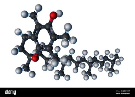 Vitamin E, Molecular Model Stock Photo - Alamy