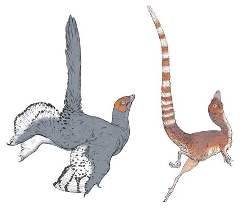 How birds get their color zoology for paleoartists part i – Artofit