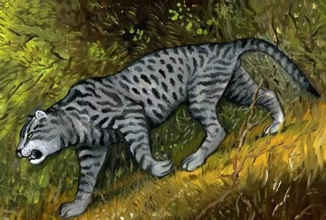 Wanna See something Weird? — The Mngwa is a huge cat-like cryptid found ...