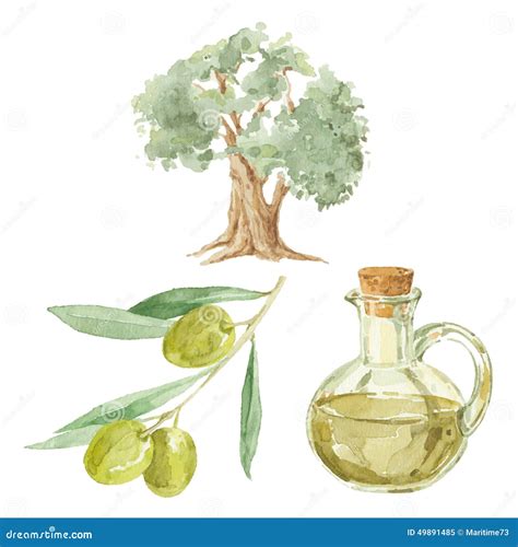 Rama De Olivo, árbol Y Una Botella De Dibujo Del Aceite De Oliva Por El Waterc Stock de ...