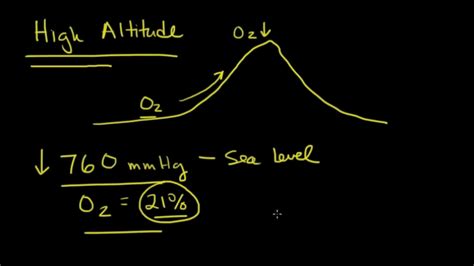 Understanding High-Altitude Hypoxemia | Curious.com