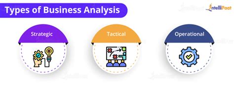 Business Analysis Tutorial - A Complete Beginners Guide