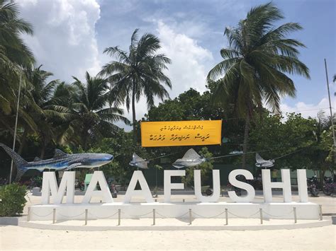 My Budget Trip to The Maldives: Visiting Maafushi Island