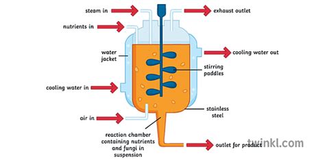 Mycoprotein Fermenter Science Ecology Diagram Secondary Illustration